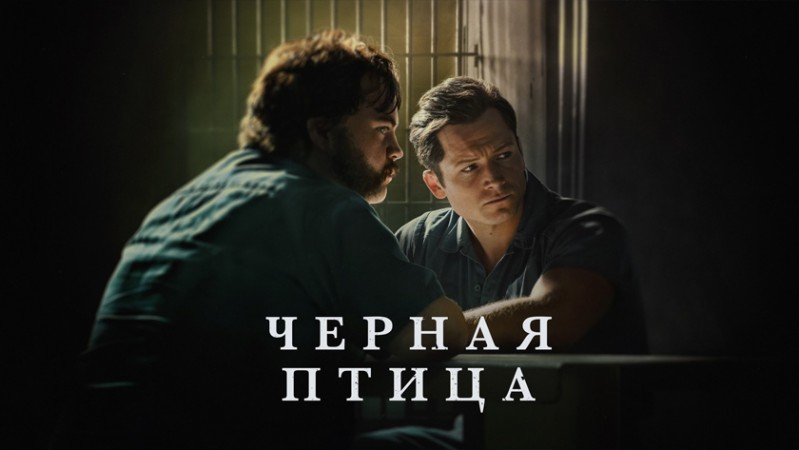 Чёрная птица Чёрная птица