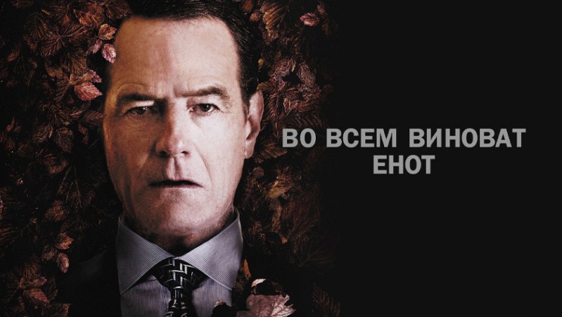 Во всем виноват енот Во всем виноват енот