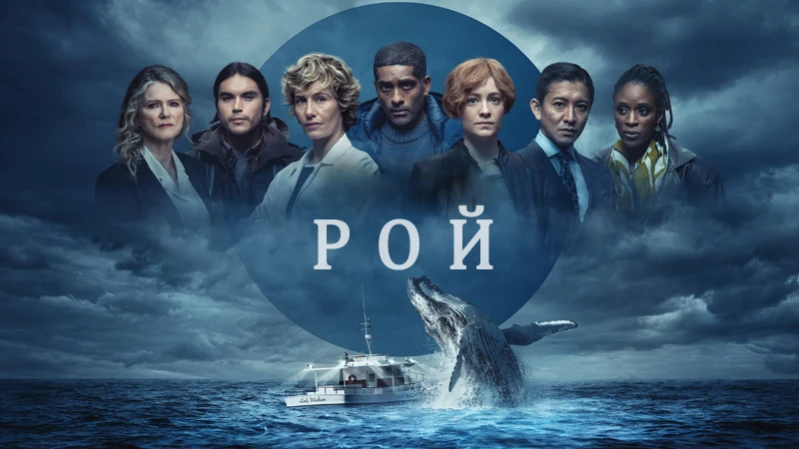 Рой