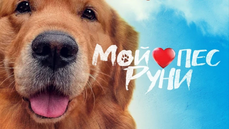 Мой пёс Руни
